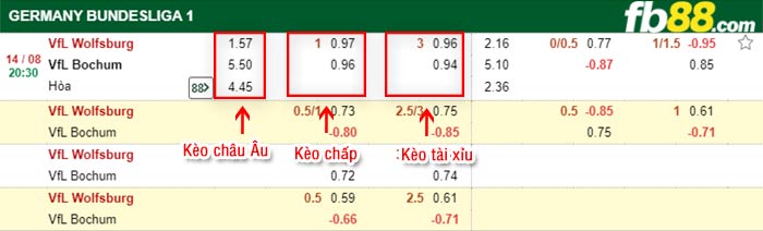 fb88-bảng kèo trận đấu Wolfsburg vs Bochum