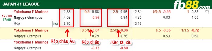 fb88-bảng kèo trận đấu Yokohama F Marinos vs Nagoya Grampus
