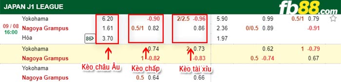 fb88-bảng kèo trận đấu Yokohama FC vs Nagoya Grampus