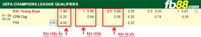 fb88-bảng kèo trận đấu Young Boys vs CFR Cluj