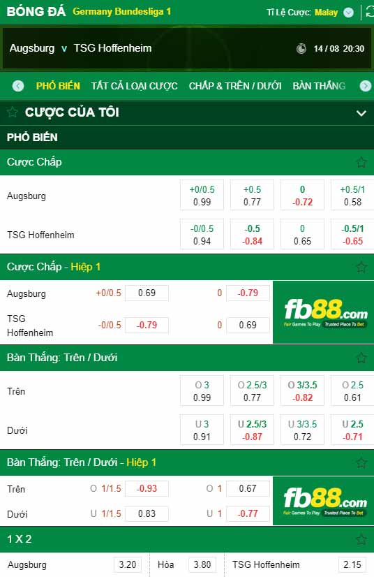 fb88-chi tiết kèo trận đấu Augsburg vs Hoffenheim