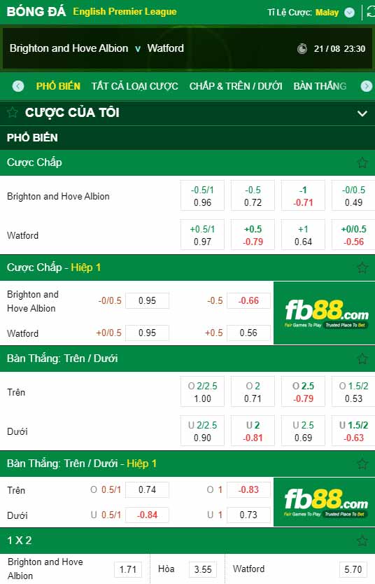 fb88-chi tiết kèo trận đấu Brighton vs Watford