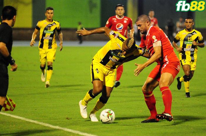 Fb88 bảng kèo trận đấu Alianza Petrolera vs Patriotas