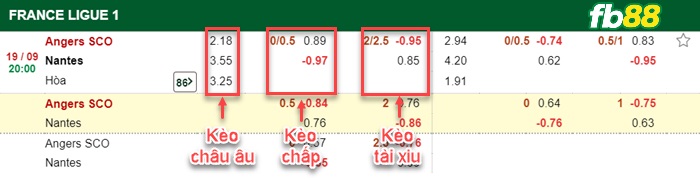 Fb88 bảng kèo trận đấu Angers vs Nantes