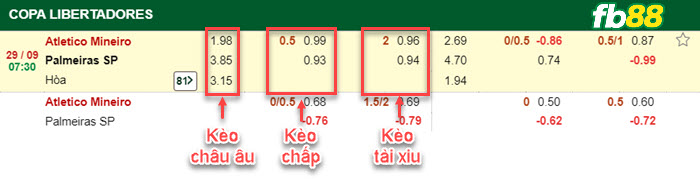 Fb88 bảng kèo trận đấu Atletico Mineiro vs Palmeiras