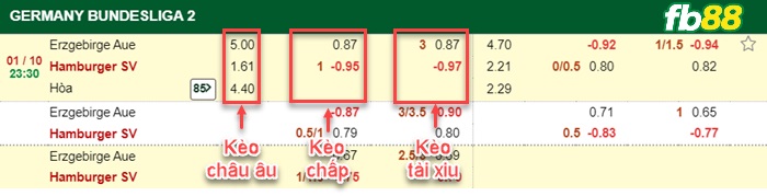 Fb88 bảng kèo trận đấu Aue vs Hamburger