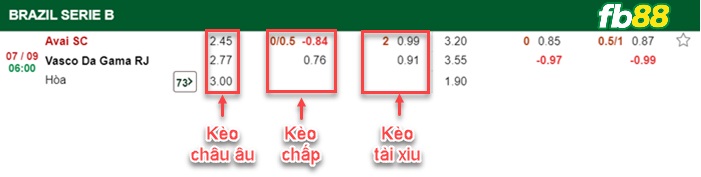 Fb88 bảng kèo trận đấu Avai FC vs Vasco da Gama