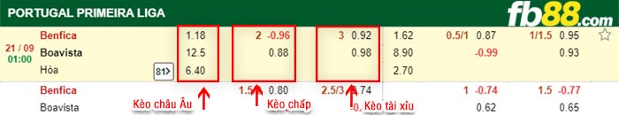 fb88-bảng kèo trận đấu Benfica vs Boavista