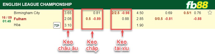 Fb88 bảng kèo trận đấu Birmingham vs Fulham