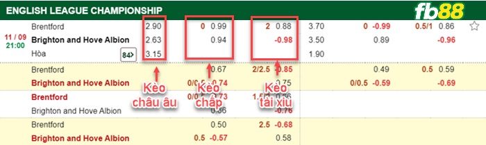 Fb88 bảng kèo trận đấu Brentford vs Brighton
