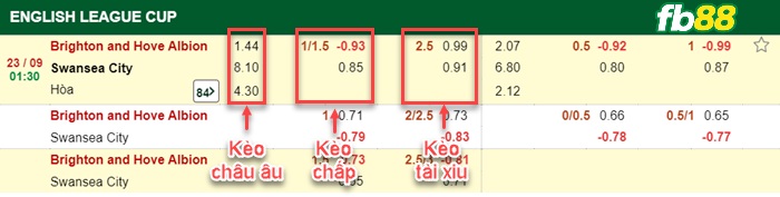 Fb88 bảng kèo trận đấu Brighton vs Swansea