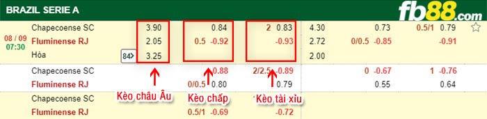fb88-bảng kèo trận đấu Chapecoense vs Fluminense