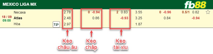 Fb88 bảng kèo trận đấu Club Necaxa vs Atlas