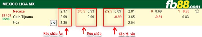 fb88-bảng kèo trận đấu Club Necaxa vs Club Tijuana