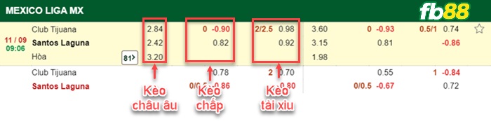 Fb88 bảng kèo trận đấu Club Tijuana vs Santos Laguna