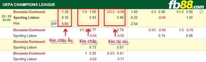fb88-bảng kèo trận đấu Dortmund vs Sporting CP
