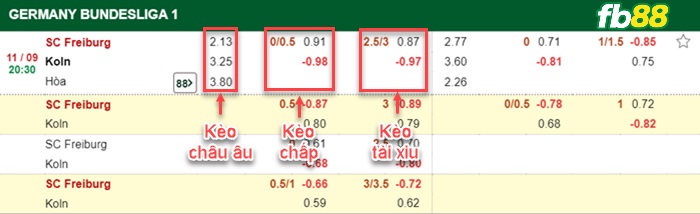 Fb88 bảng kèo trận đấu Freiburg vs Koln