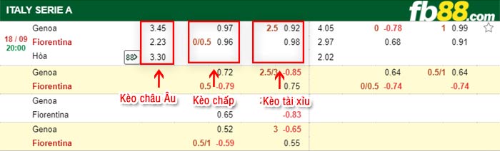 fb88-bảng kèo trận đấu Genoa vs Fiorentina