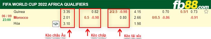 fb88-bảng kèo trận đấu Guinea vs Morocco