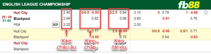 Fb88 bảng kèo trận đấu Hull City vs Blackpool