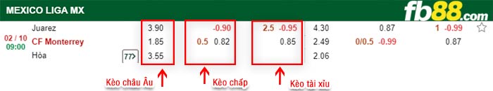 fb88-bảng kèo trận đấu Juarez vs Monterrey