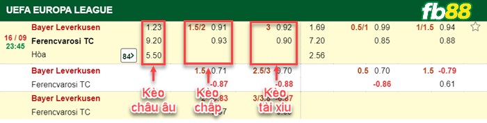 Fb88 bảng kèo trận đấu Leverkusen vs Ferencvarosi
