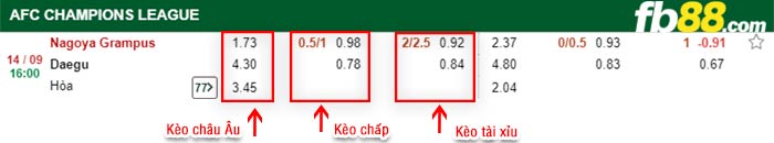 fb88-bảng kèo trận đấu Nagoya Grampus vs Daegu FC