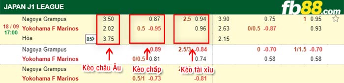 fb88-bảng kèo trận đấu Nagoya Grampus vs Yokohama F Marinos