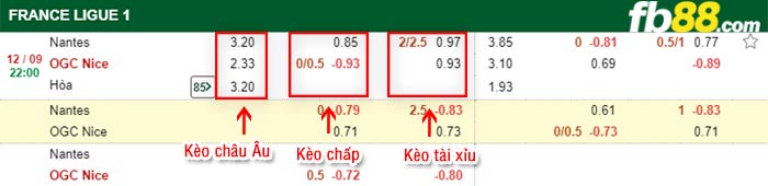 fb88-bảng kèo trận đấu Nantes vs Nice