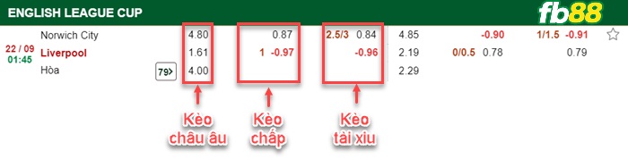 Fb88 bảng kèo trận đấu Norwich vs Liverpool
