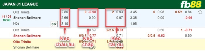 Fb88 bảng kèo trận đấu Fluminense vs Sao Paulo