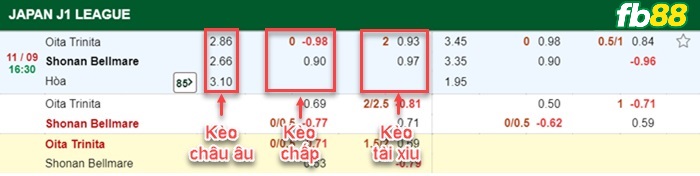 Fb88 bảng kèo trận đấu Oita Trinita vs Shonan Bellmare