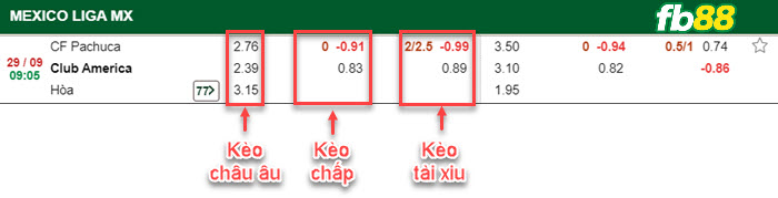 Fb88 bảng kèo trận đấu Pachuca vs Club America