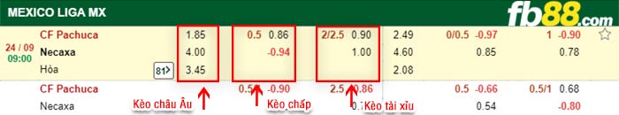 fb88-bảng kèo trận đấu Pachuca vs Club Necaxa