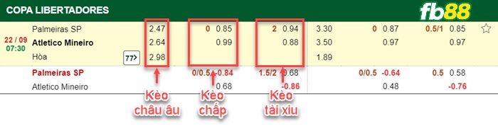Fb88 bảng kèo trận đấu Palmeiras vs Atletico Mineiro