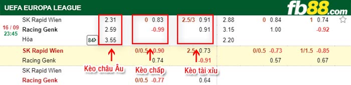 fb88-bảng kèo trận đấu Rapid Wien vs Genk