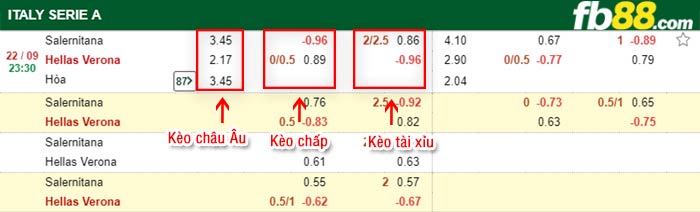 fb88-bảng kèo trận đấu Salernitana vs Hellas Verona
