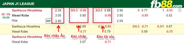 fb88-bảng kèo trận đấu Sanfrecce Hiroshima vs Vissel Kobe