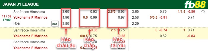 Fb88 bảng kèo trận đấu Sanfrecce Hiroshima vs Yokohama F Marinos