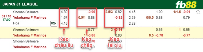 Fb88 bảng kèo trận đấu Shonan Bellmare vs Yokohama F Marinos