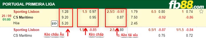 fb88-bảng kèo trận đấu Sporting CP vs Maritimo