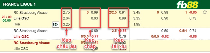 Fb88 bảng kèo trận đấu Strasbourg vs Lille