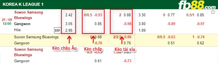 fb88-bảng kèo trận đấu Suwon Bluewings vs Gangwon FC
