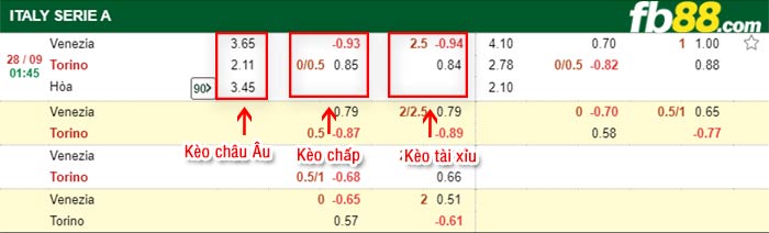 fb88-bảng kèo trận đấu Venezia vs Torino