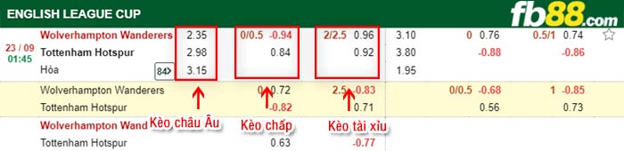 fb88-bảng kèo trận đấu Wolves vs Tottenham