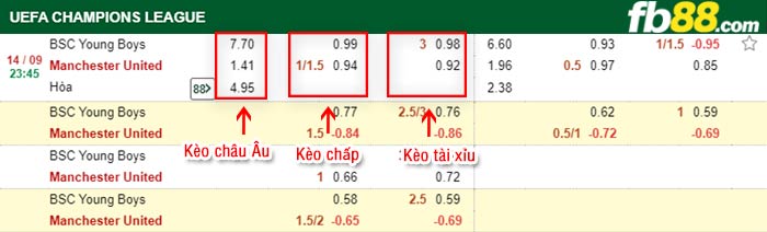 fb88-bảng kèo trận đấu Young Boys vs Man United