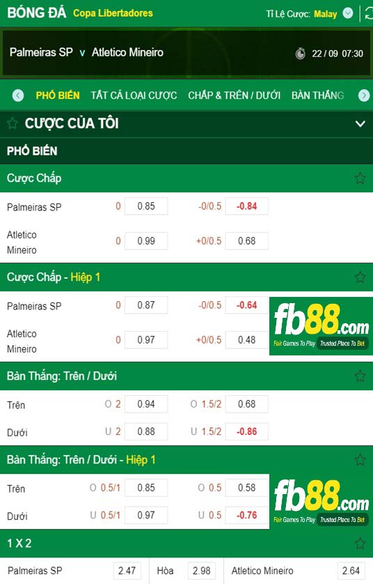 Fb88 tỷ lệ kèo trận đấu Palmeiras vs Atletico Mineiro