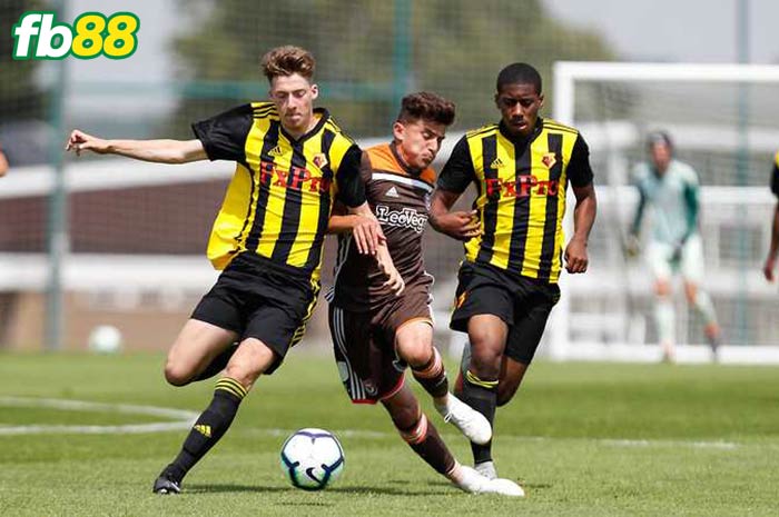 Fb88 tỷ lệ kèo trận đấu Peterborough U23 vs Watford U23