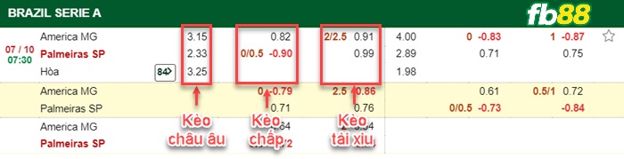 Fb88 bảng kèo trận đấu America MG vs Palmeirasd
