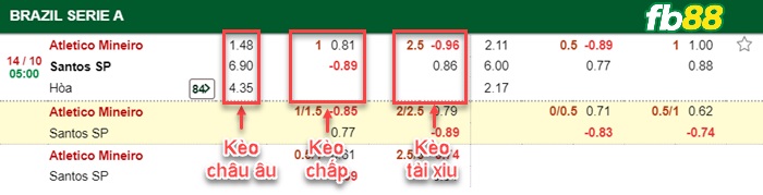Fb88 bảng kèo trận đấu Atletico Mineiro vs Santos